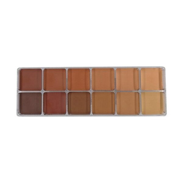 12 Shade Cream Foundation Palette - Medium to Dark