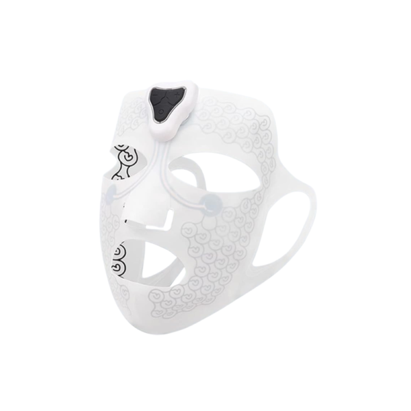 Electronic Facial Mask