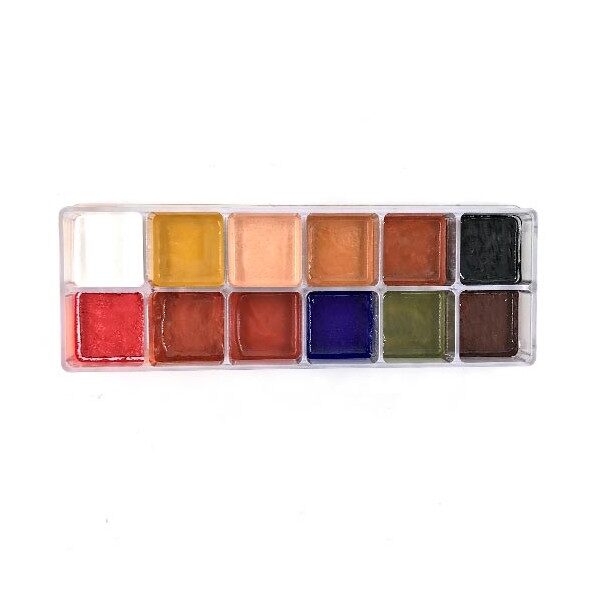 12 Shade Alcohol Activated Paint Palette